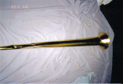After gilded  copper horn